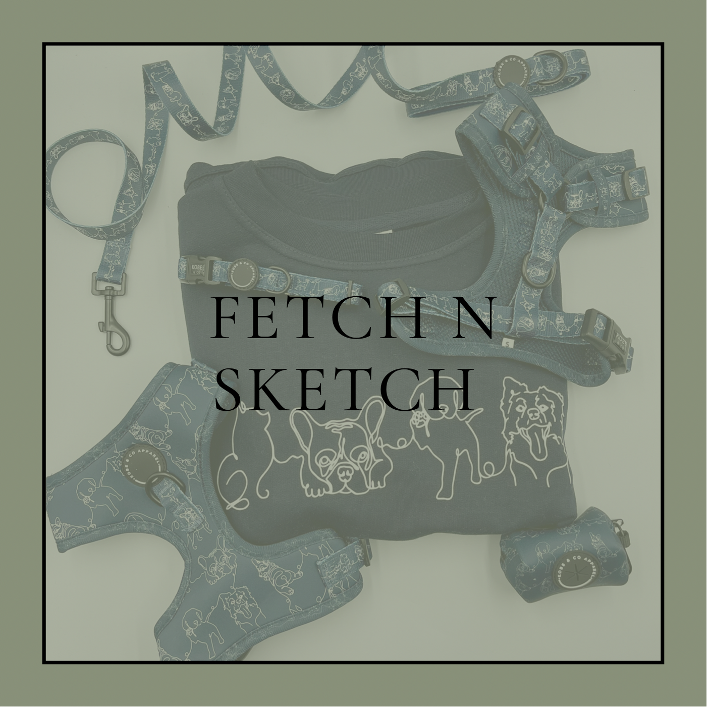 Fetch n Sketch
