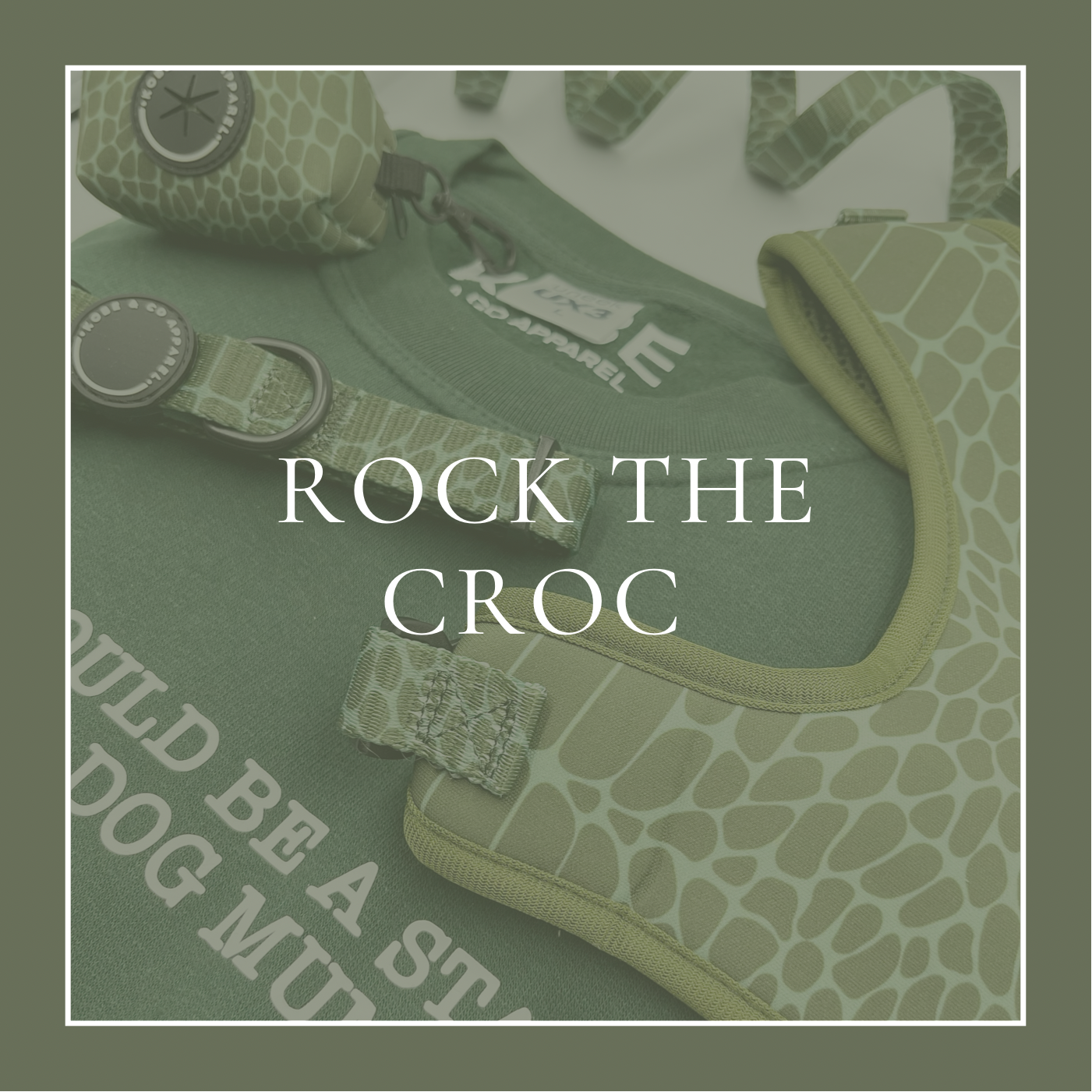 Rock The Croc