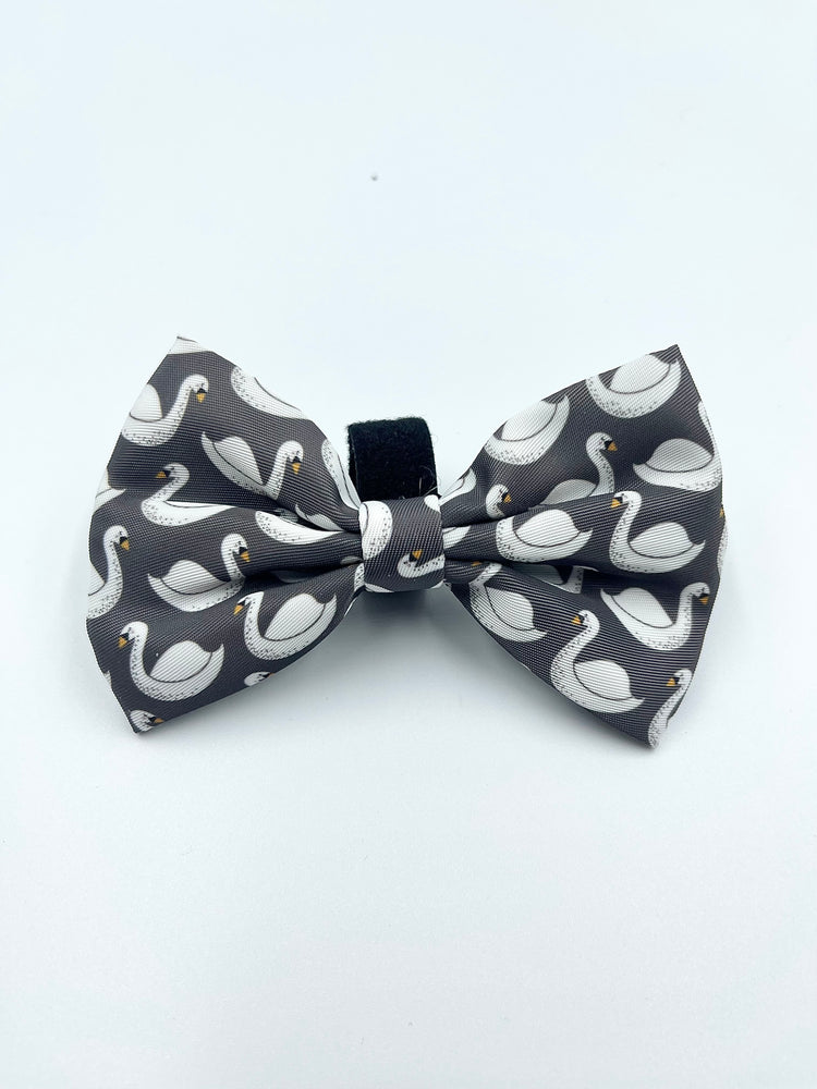 The Royal One Bow Tie